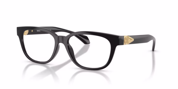 Versace VE3376U GB1 - Black