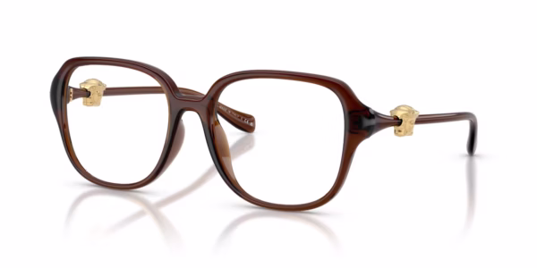 Versace VE3386D 5534 - Transparent Brown