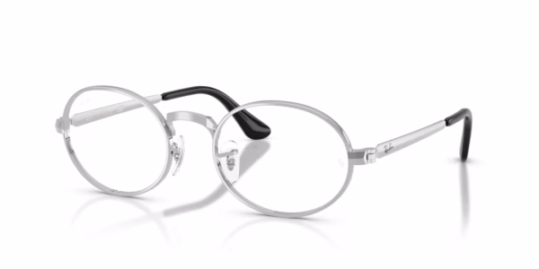 Ray-Ban RX3931V 2501 -Silver