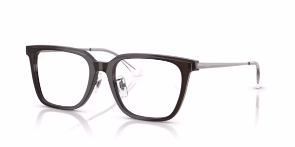 Ray-Ban RX5442D 8290 - Transparent Dark Brown