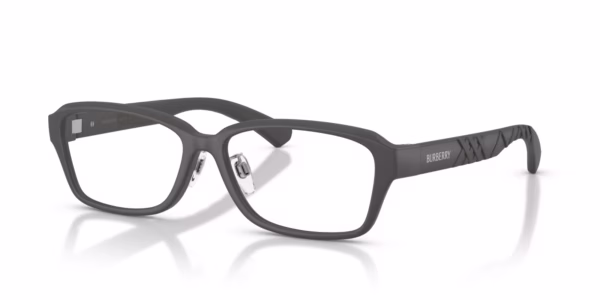Burberry BE2461D 4233 - Matte Grey