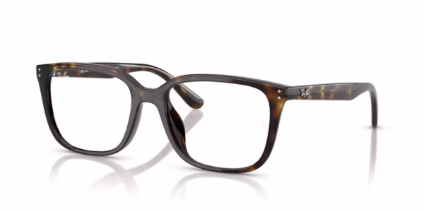 Ray-Ban RX7248D 2012 - Havana