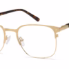 Capri DC250 - Gold Tortoise