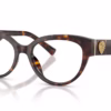 Dolce & Gabbana DG3440 502 - Havana