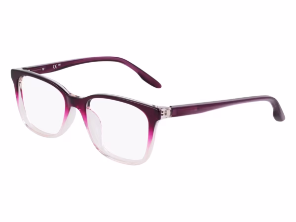 Nike 5054 503 - Plum Gradient