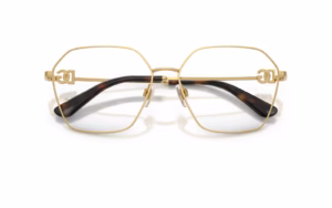 Dolce&Gabbana DG1366