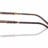 Dolce&Gabbana DG3442 502 - Havana eyeglasses side view
