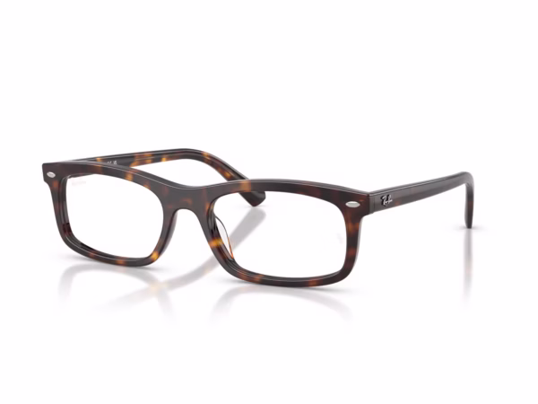 Ray-Ban RX5450 2012 - Havana