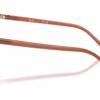 Ray-Ban RX5455 8511 - Transparent Brown eyeglasses side view