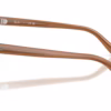 Ray-Ban RX5461D 8201 - Transparent Brown eyeglasses side view