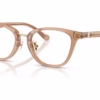 Coach HC6272F 5654 - Transparent Brown eyeglasses angle view