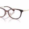 Coach HC6295D 5120 eyeglasses angle view