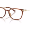 Coach HC6312D 5888 - Transparent Brown eyeglasses angle view