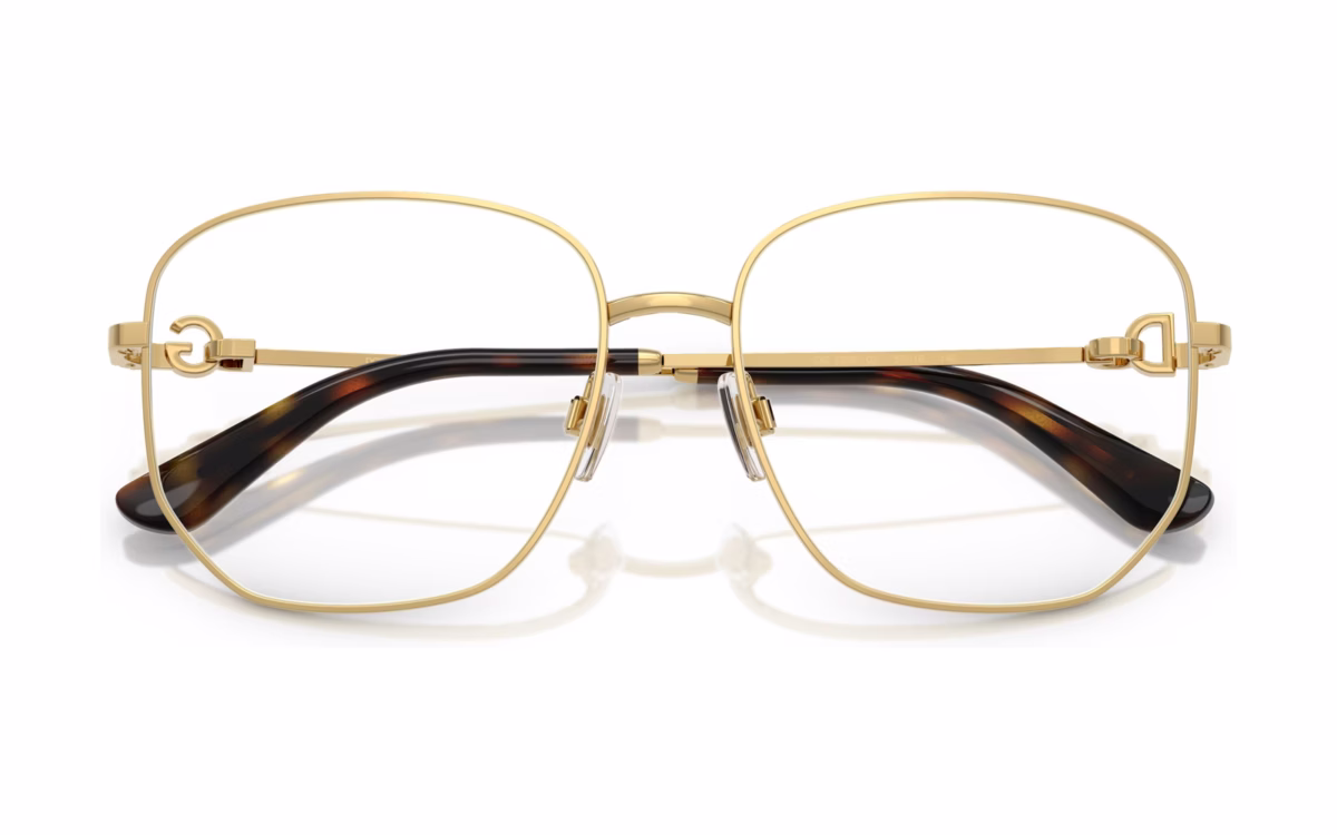 Dolce&Gabbana DG1356