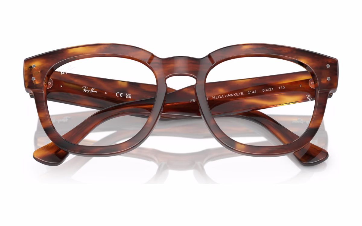 Ray-Ban RX0298V