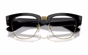 Ray-Ban RX0316V