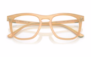 Ray-Ban RX2210VF