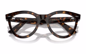 Ray-Ban RB2241VF