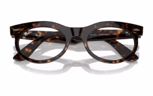 Ray-Ban RB2242V