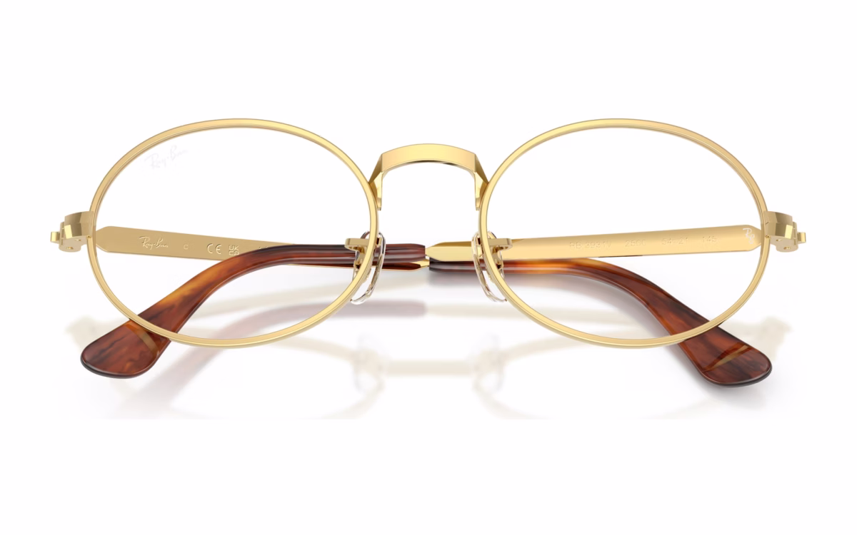 Ray-Ban RX3931V