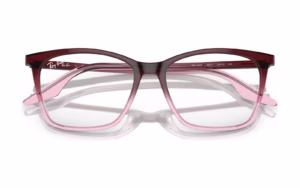Ray-Ban RX5422