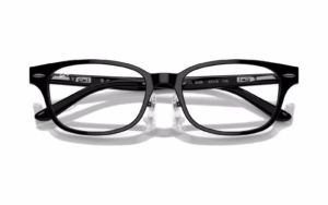 Ray-Ban RX5427D