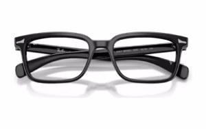 Ray-Ban RB5534F