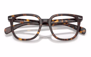 Ray-Ban RB5535