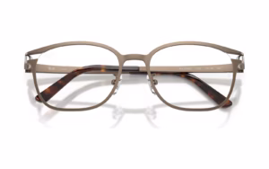 Ray-Ban RB8780D