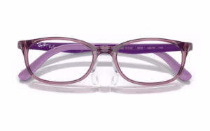 Ray-Ban RY1613D