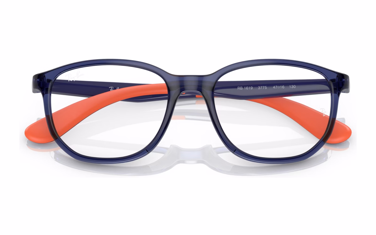 Ray-Ban RY1619