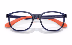 Ray-Ban RY1619