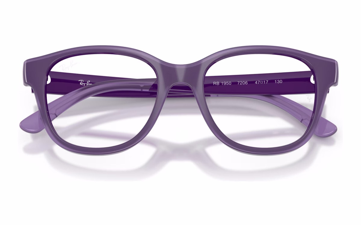 Ray-Ban RY1950