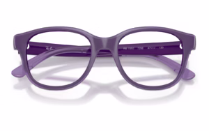 Ray-Ban RY1950