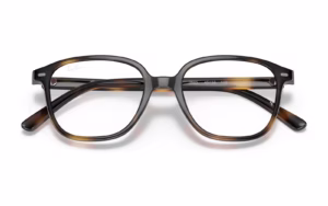 Ray-Ban RY9093V