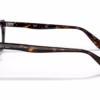 Ray-Ban RY9099V 3887 - Havana eyeglasses side view