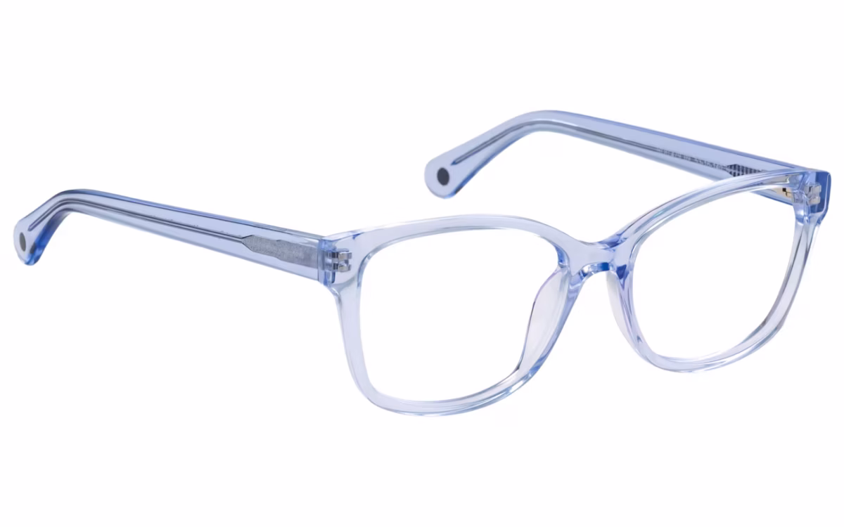 Bocci 479